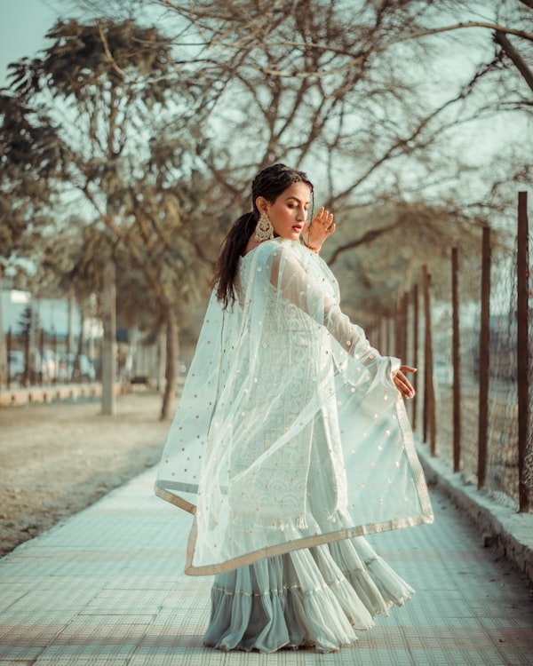 Banarasi Organza Saree